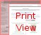 Print View