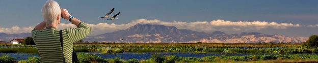 County Banner 6