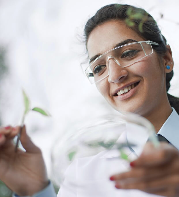 Scientist with plant