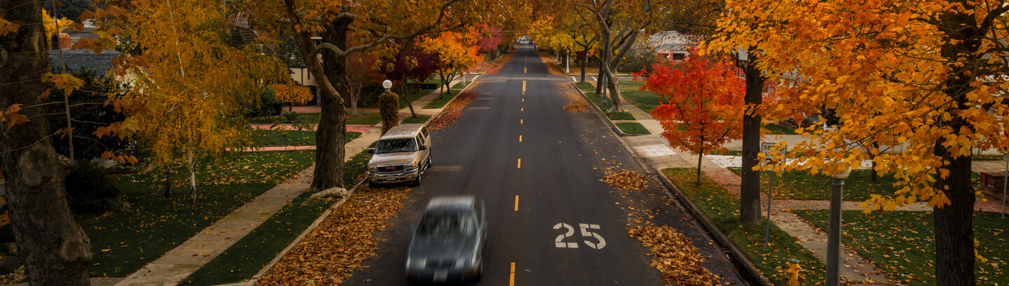 Residential street with cards