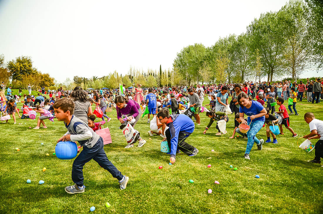 Children collecting eggs in a field