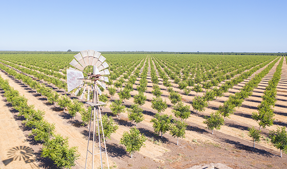 View of crops in San Joaquin valley