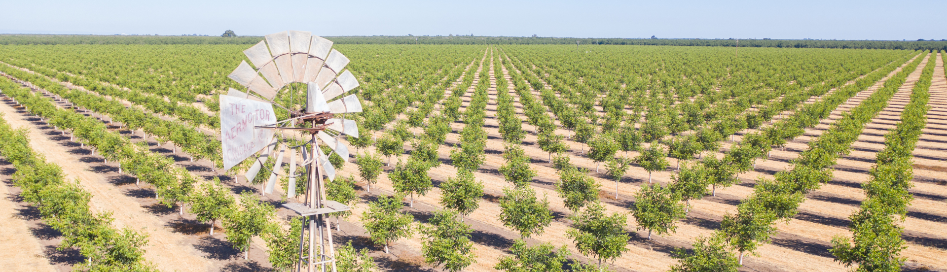 Arial view of crops