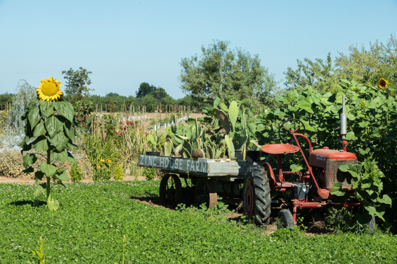 faqs-business-agriculture-statement-procedures-min faqs business agriculture