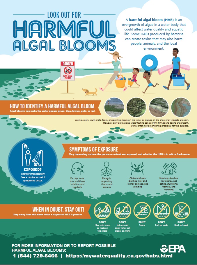 look out fo harmful algal blooms