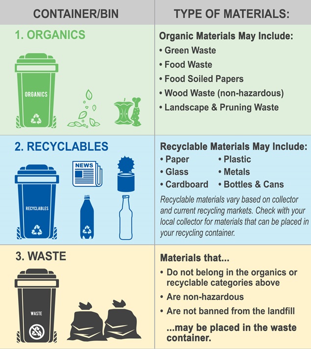 2025.03.05 3 cart system