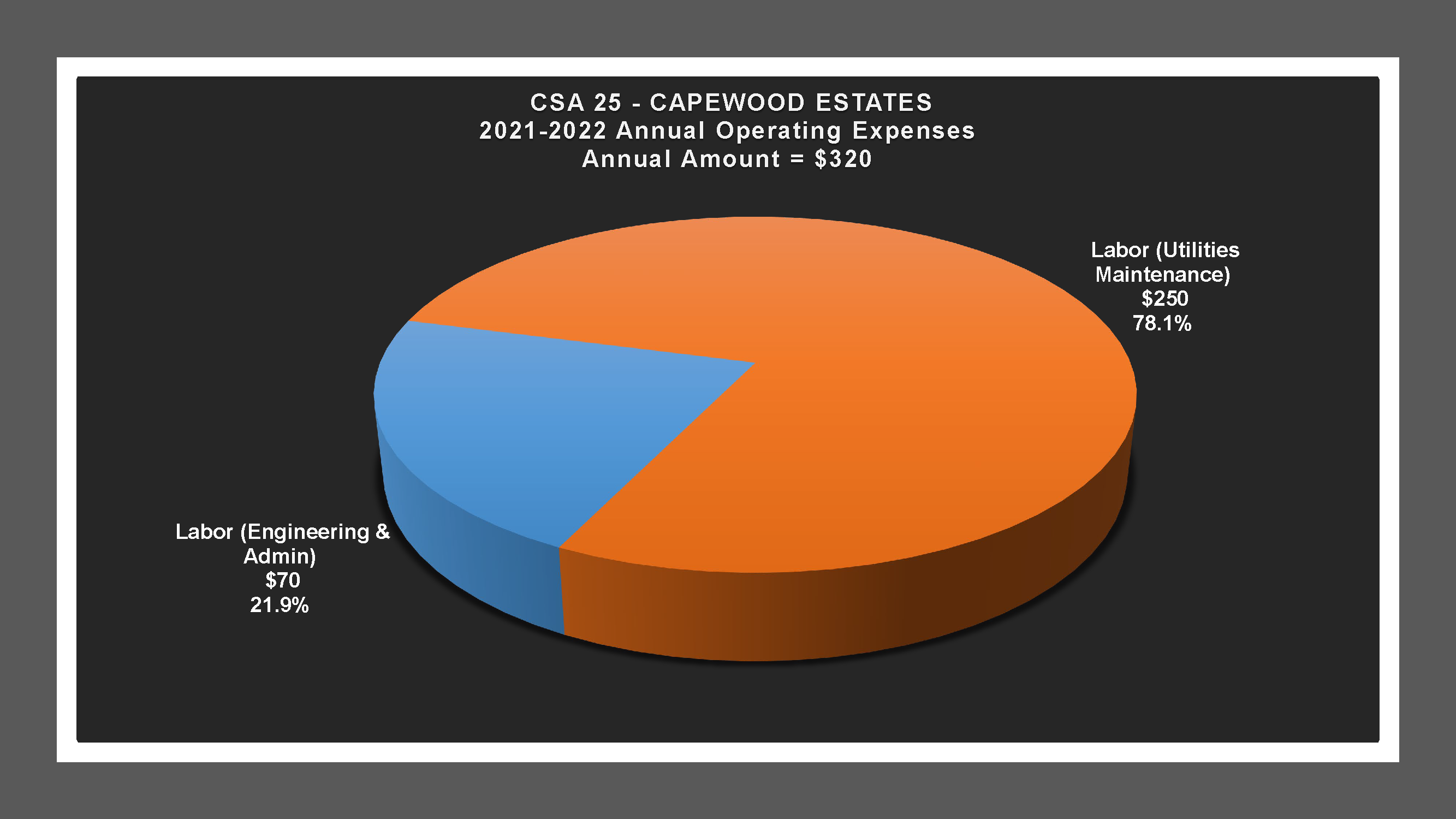 CSA 25 - Expense Report