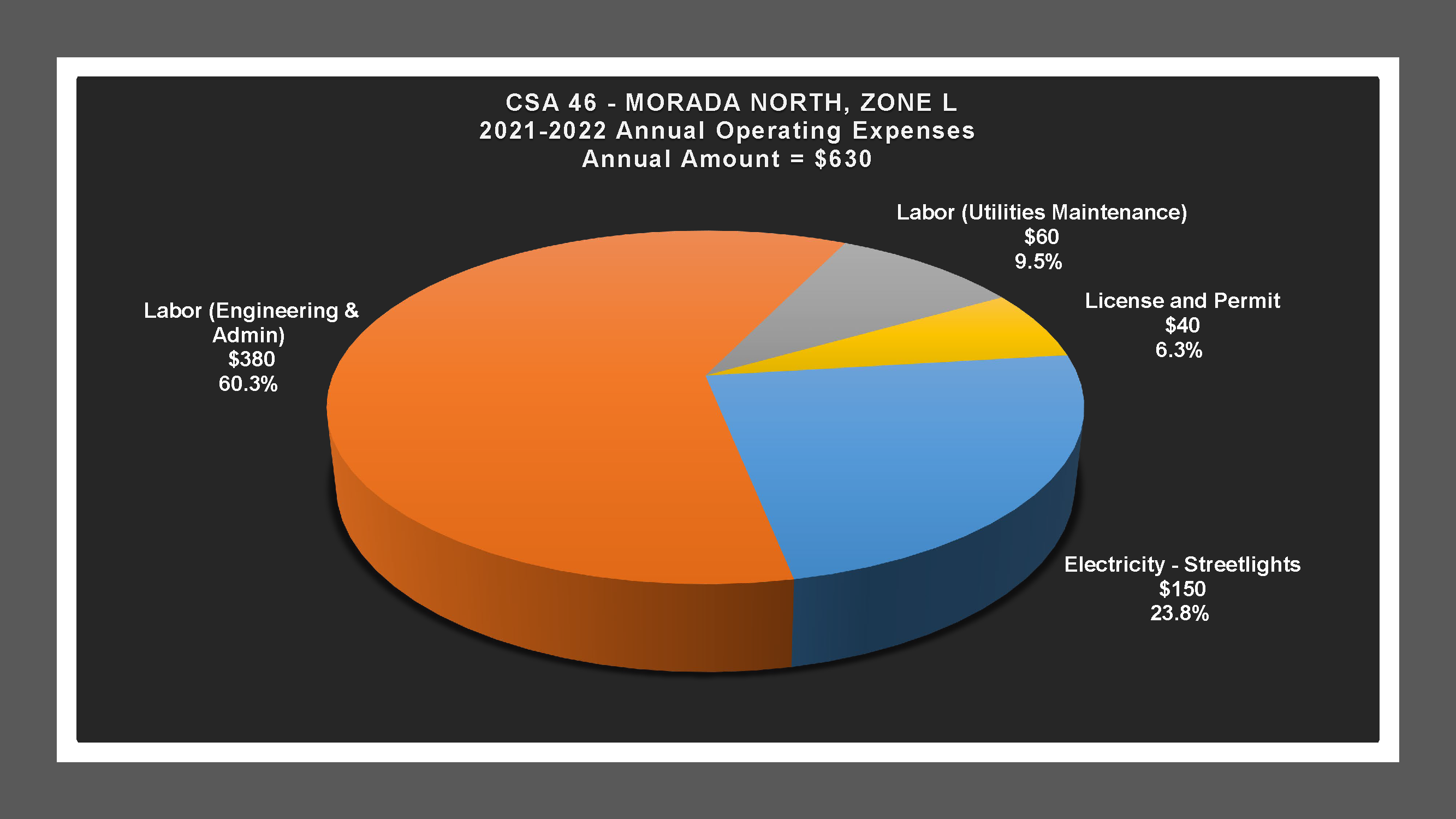 CSA 46L - Expense Report