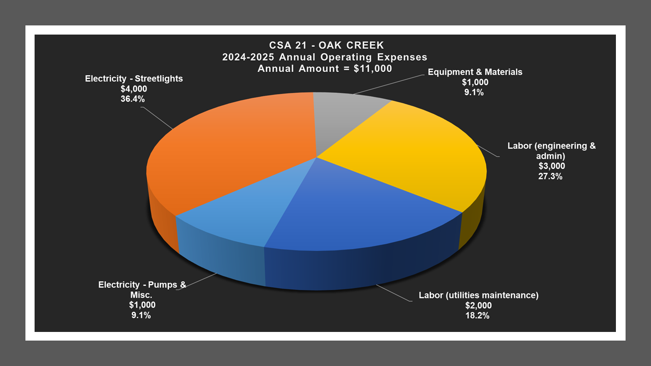 CSA 21 - Expense Report