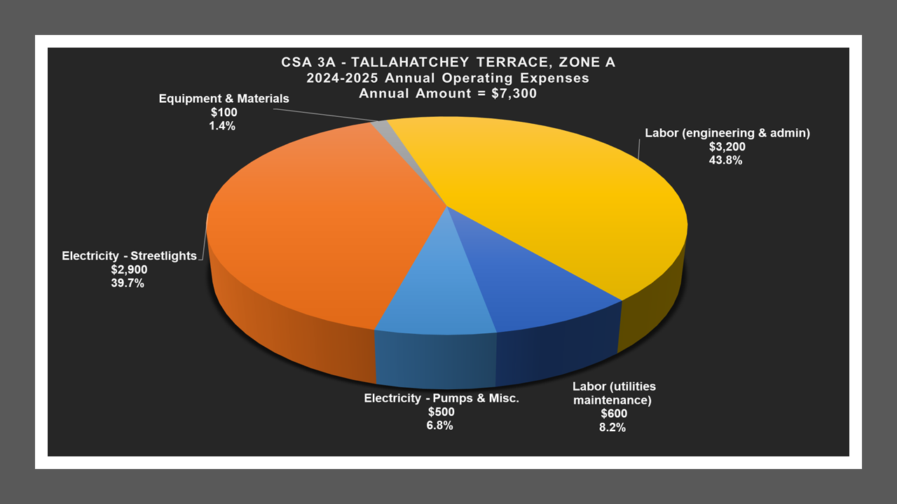 CSA 3 Zone A - Expense Report