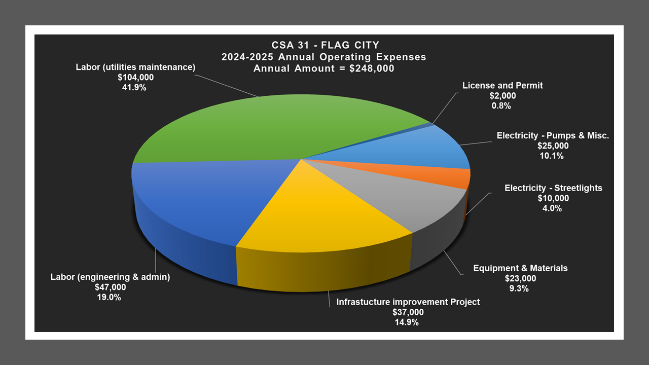 CSA 31 - Expense Report