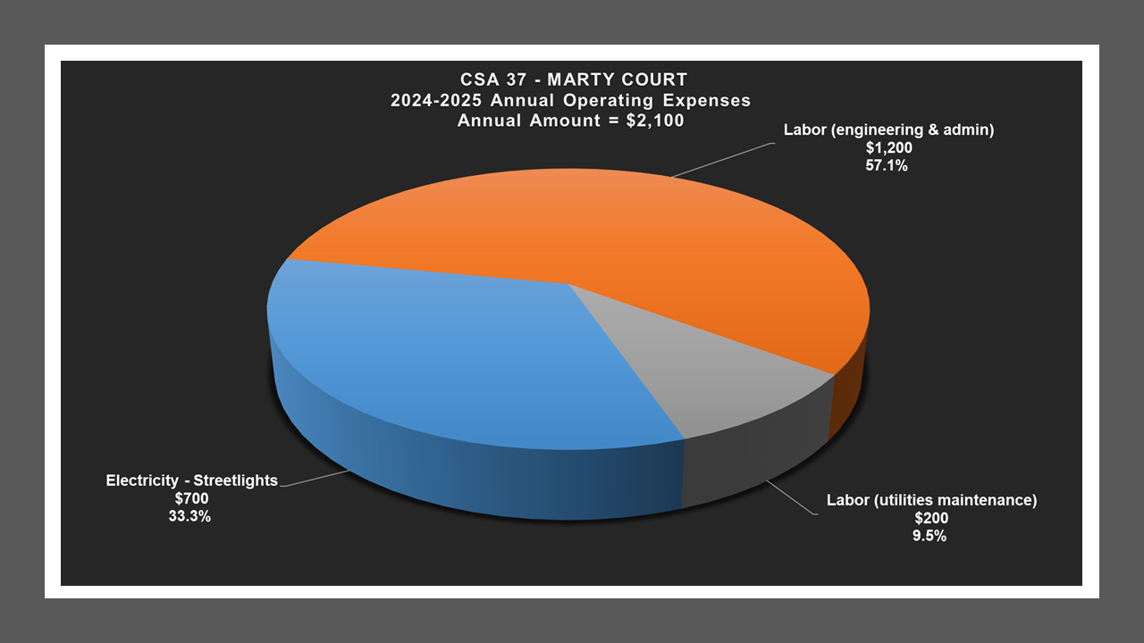 CSA 37 - Expense Report