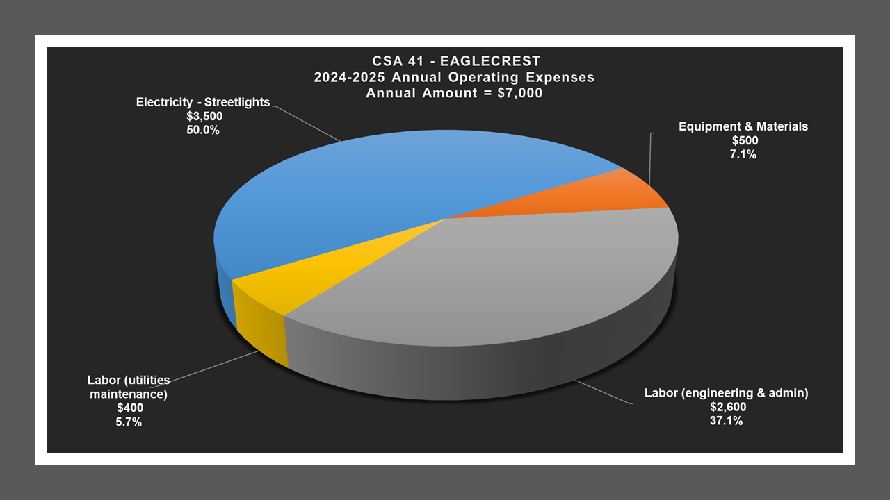 CSA 41 - Expense Report