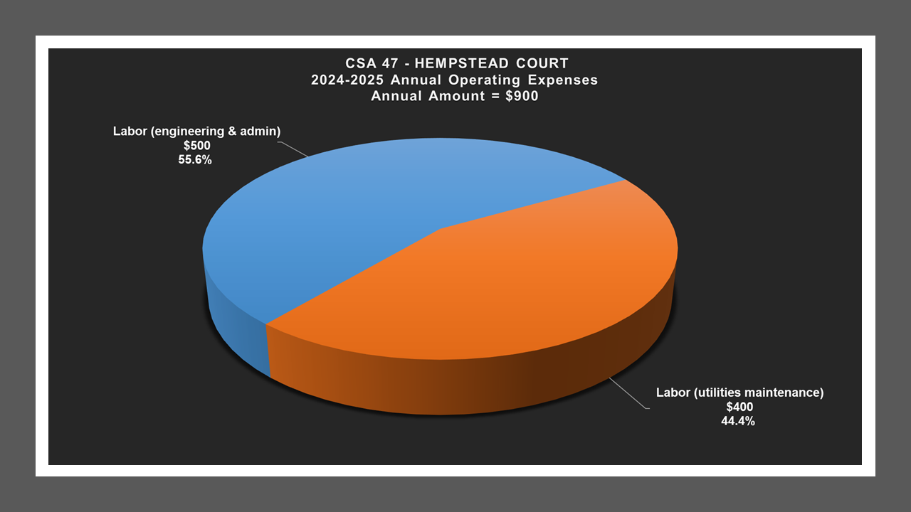CSA 47 - Expense Report