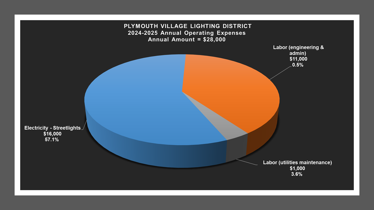 Plymouth Village LD - Expense Report