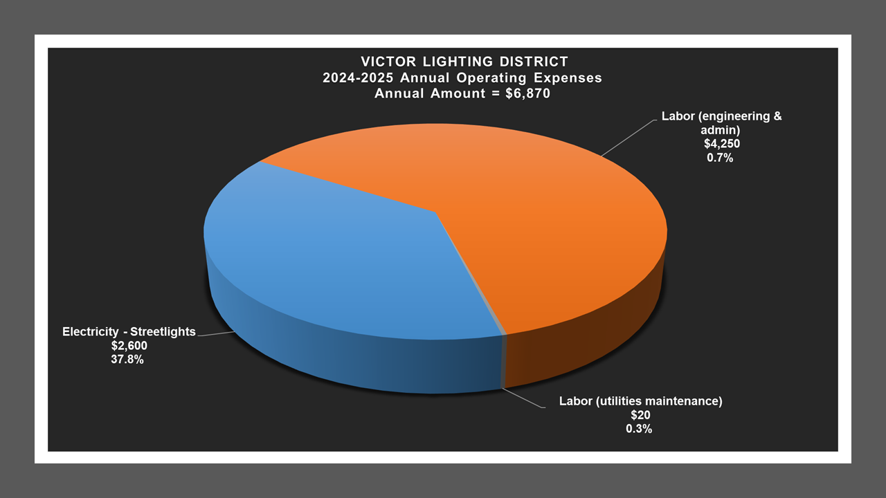 Victor LD - Expense Report