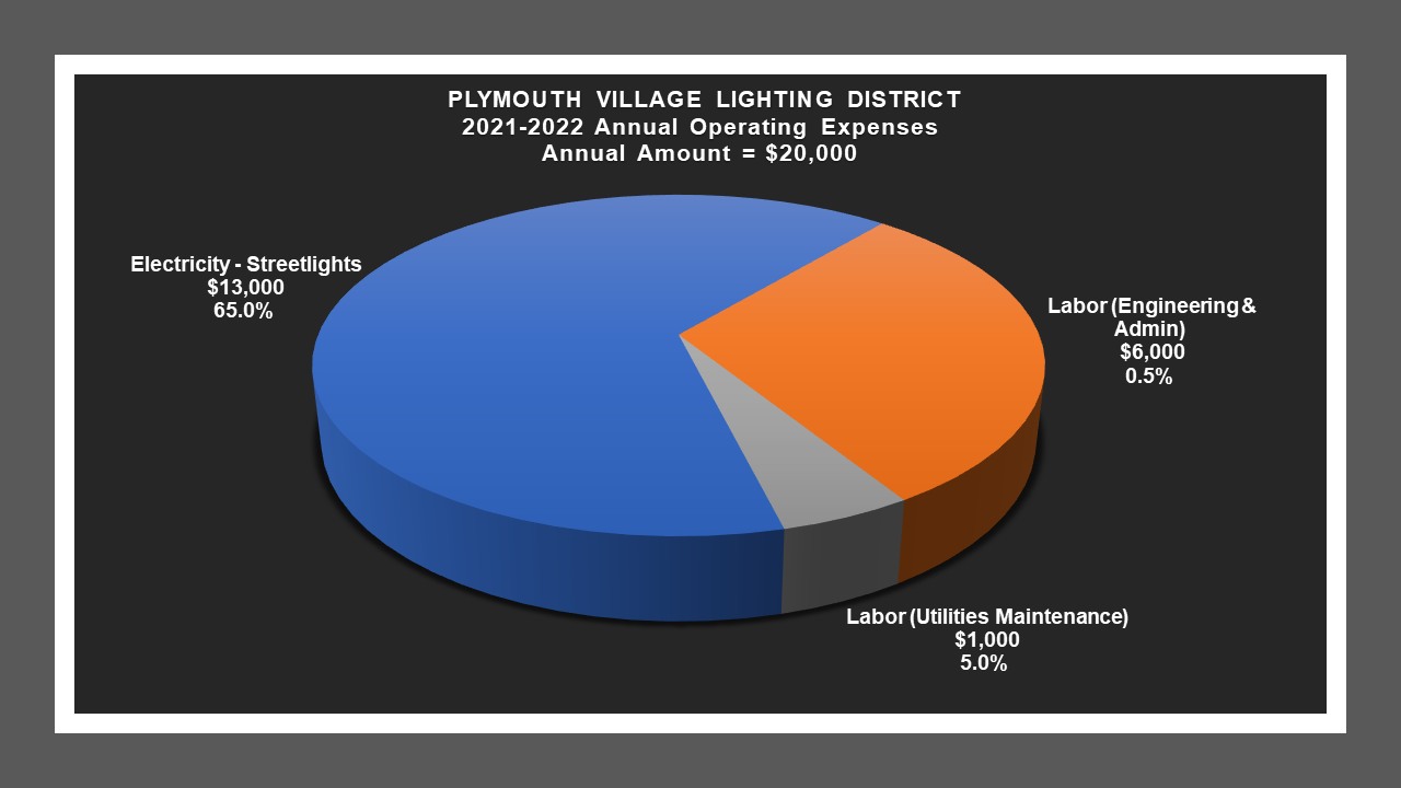 Plymouth Village LD - Expense Report